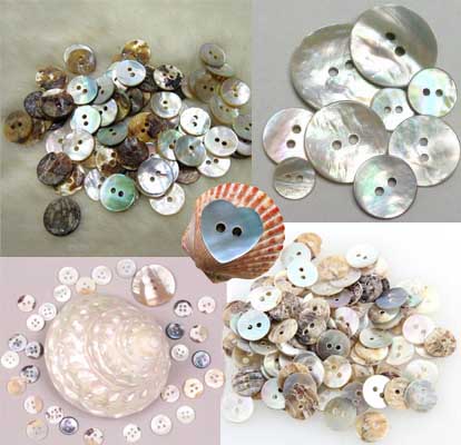 Shell Buttons