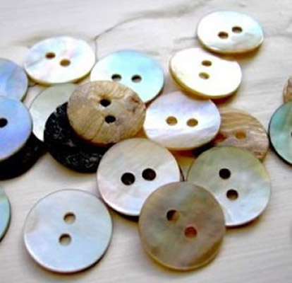 Sea Shell Buttons