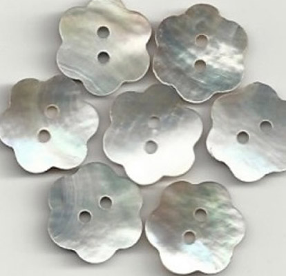 Sea Shell Buttons
